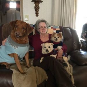 Meet your Posher, Jessie